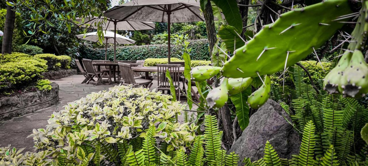 Margarita House Hotel Nairobi Eksteriør billede